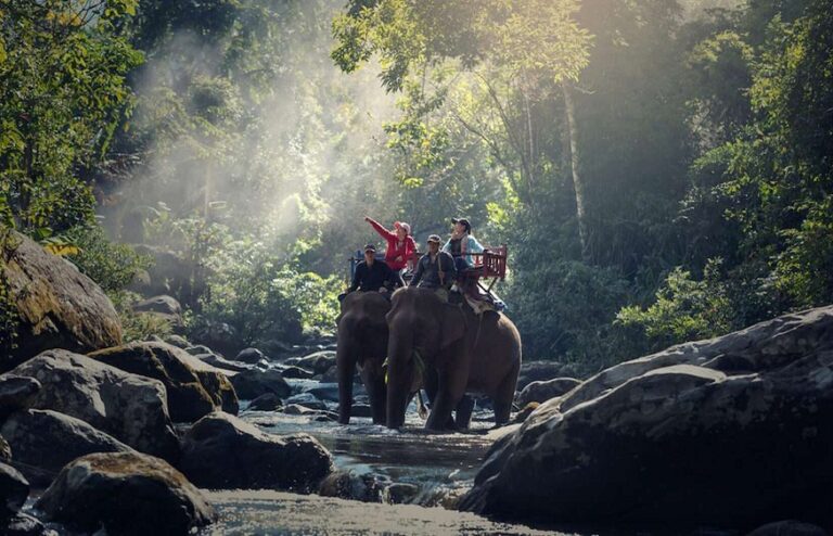 Chitwan Jungle Safari Tour: An Unforgettable Wildlife Adventure in Nepal